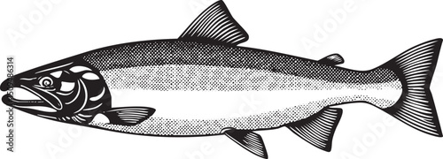 stylized silver fish swims gracefully through a dark space.