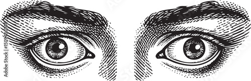 Two eyes gaze intently at the viewer framed by dark eyebrows.