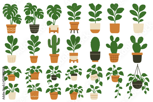 Collection of indoor plants arranged in various pots showcasing diverse species and styles for home decor inspiration