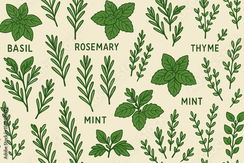 Collection of fresh herbs including basil, rosemary, thyme, and mint on a light background
