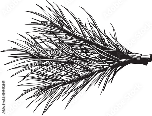 detailed black and white of a fishing fly.
