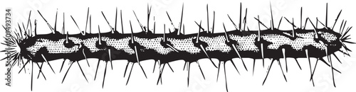 black moth crawls along a white surface.
