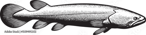 sleek gray fish swims gracefully through dark water.
