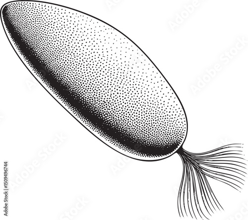 stylized speckled oval shape with a delicate feather-like tail.