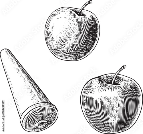 Three Apples and a Cone