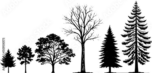 Vector Tree Silhouettes Collection, Diverse Coniferous and Deciduous Trees Illustration