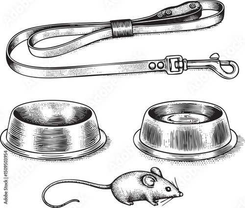 leather leash and dog bowl with a small mouse near the bowls.