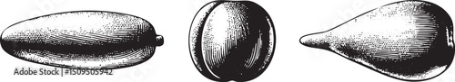 Three stylized elongated seed shapes arranged horizontally.