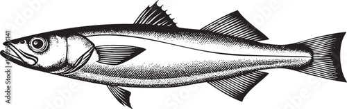 solitary grey fish swims gracefully through clear water.