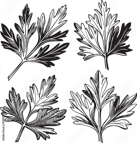 Four Black and White Herb Leaves Displayed in a Grid