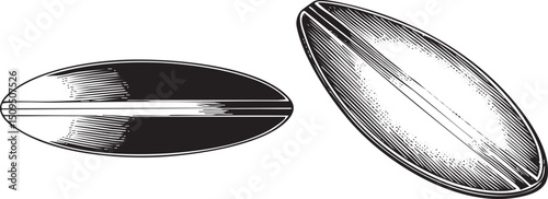 Two footballs are depicted in a detailed black and white engraving.