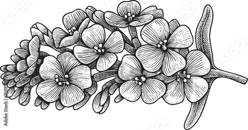 delicate branch displays a cluster of purple flowers.