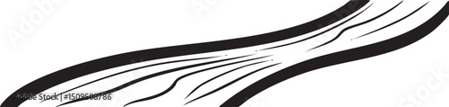 flowing dark gray ribbon curves gracefully across a bright white background.
