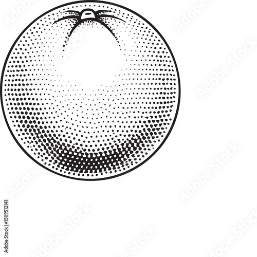 stylized black and white sphere displays a detailed of dots.