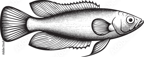 solitary fish swims gracefully through clear water.
