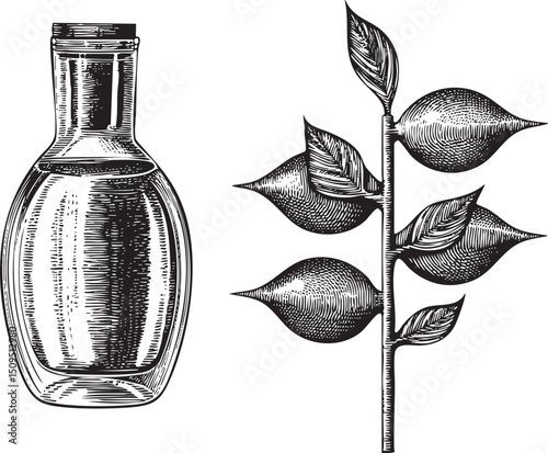 dark bottle of liquid sits beside a leafy branch.