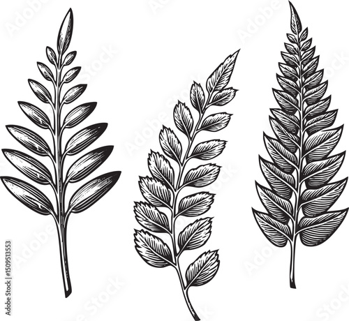 Three stylized botanical leaves are displayed in a linear arrangement.