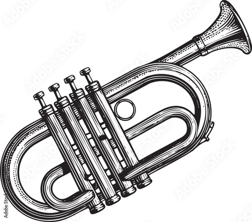 detailed black and white of a gleaming brass trumpet.