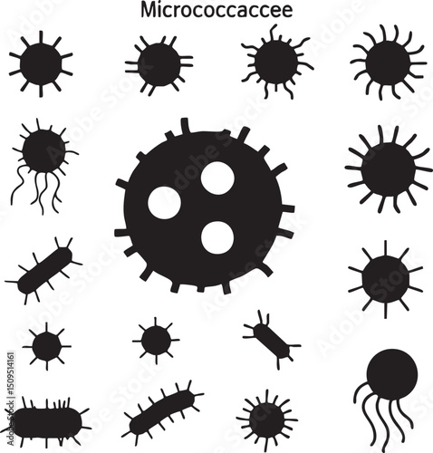 collection of black silhouettes depicting Micrococcus bacteria.