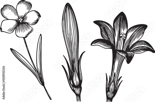 Three stylized flowers stand upright on a delicate stem.