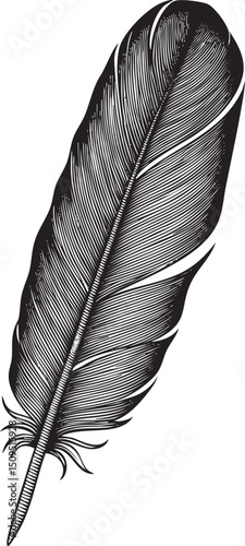 single elegant feather rests vertically against a dark background.