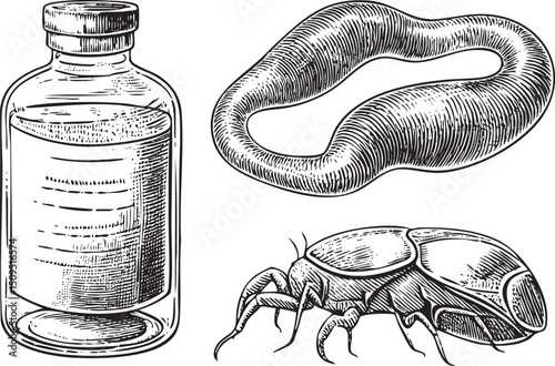 glass bottle contains a preserved snake and a beetle.