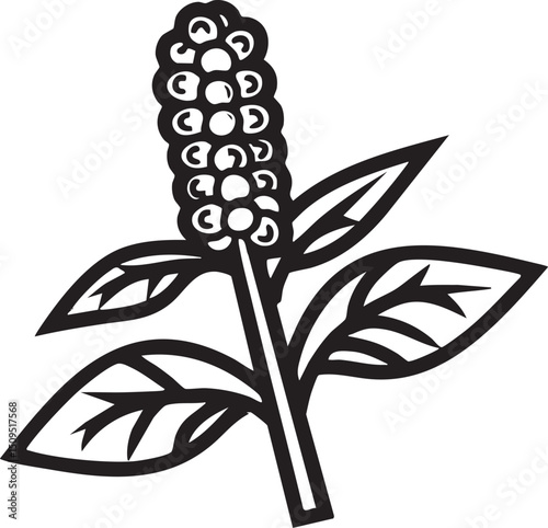 slender plant bears a dense cluster of dark berries.