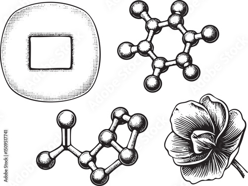 monochrome features a square a complex molecular structure and a stylized flower.