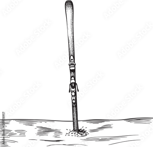 wooden baseball bat is firmly planted in a patch of sand.