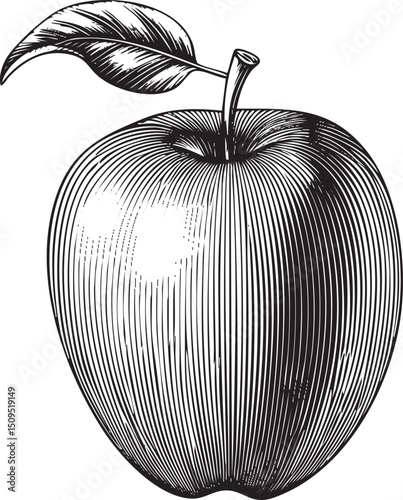 detailed black and white of a ripe with a vibrant green leaf.