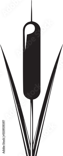 tall reed stalk rises vertically against a white background.
