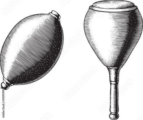 Two hand-drawn maracas rest on a white background.