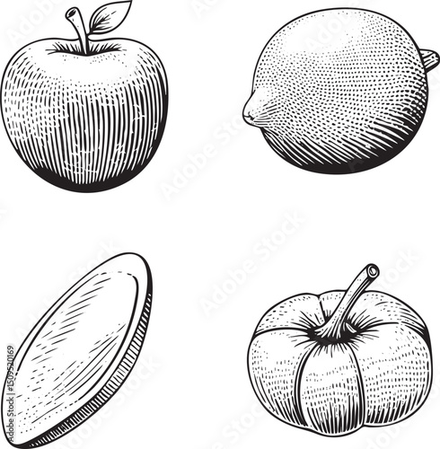 Four distinct fruits—an  a lemon and two slices of fruit—are depicted in detailed black ink .