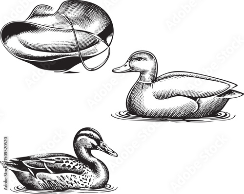 detailed engraving depicts a wide-brimmed hat and a serene duck floating on water.