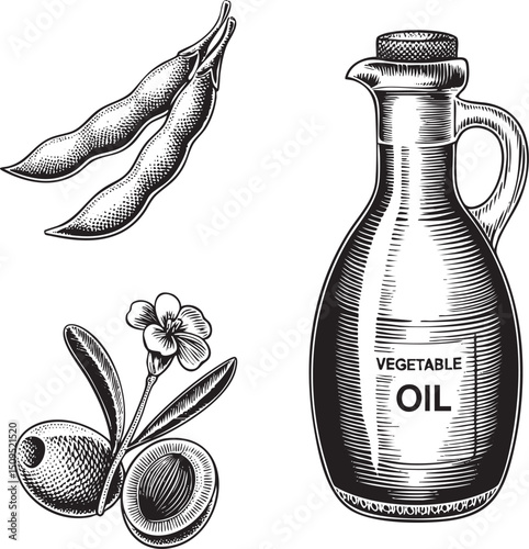 vintage showcases a bottle of vegetable oil surrounded by soybean leaves and a flower.