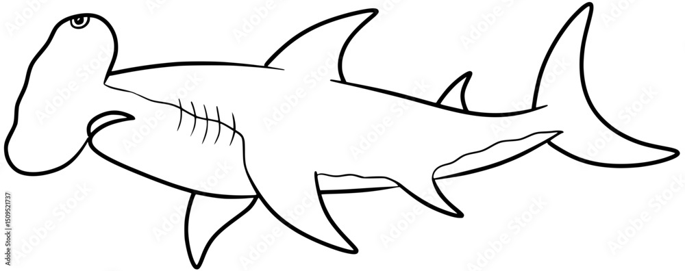 Obraz premium Hammerhead Shark Vector Outline Line Art Drawing