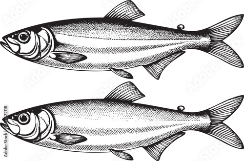 Two stylized fish swim gracefully in a linear arrangement.