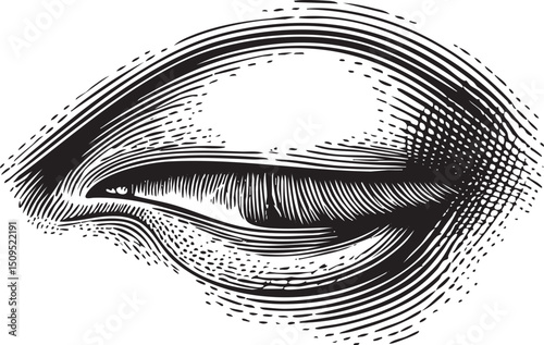 close-up of a single closed eye with intricate linework.