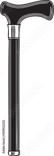 black walking cane with a textured grip rises vertically.