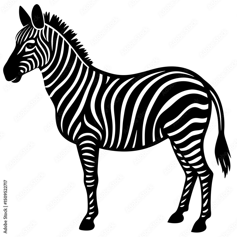 Fototapeta premium zebra 