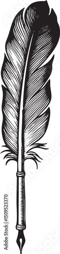 black feather rests delicately upon a silver writing quill.