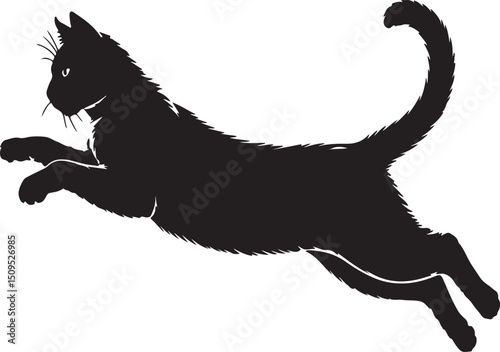  Black Cat Silhouette Vector Isolated on White Background
