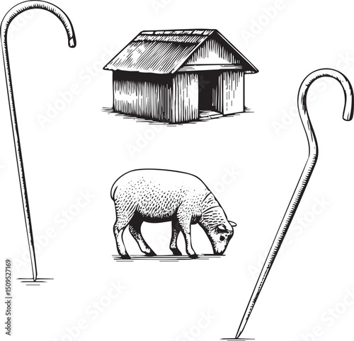 black and white depicts a sheep grazing near a small simple shed.