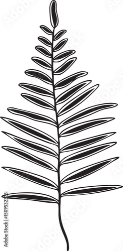 delicate fern frond gracefully extends upwards against a stark white background.