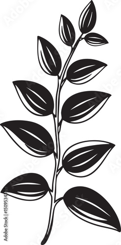 single branch with several dark green leaves extends upwards.