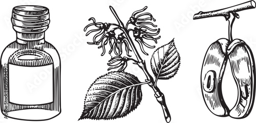 vintage bottle a flowering branch and a measuring tool are arranged on a surface.