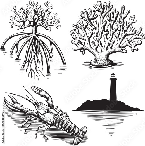 stylized mangrove tree a coral formation and a lobster emerge from the water near a lighthouse.