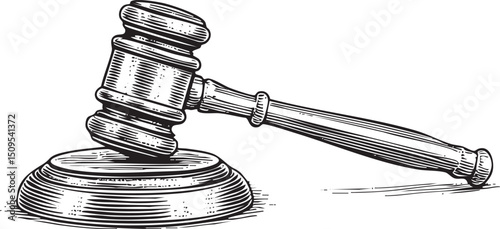 black and white gavel rests on a wooden block.