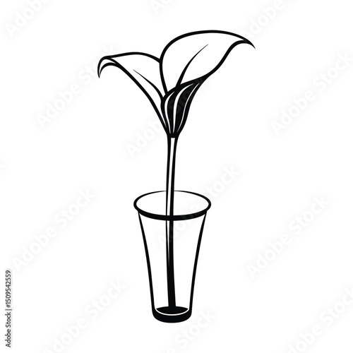 A single elegant calla lily displayed in a sleek glass vase against a minimalist 