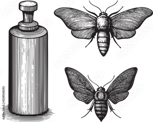 detailed black and white depicts a tall bottle and two moths.